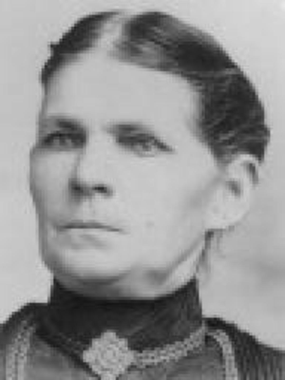 Ellen Mariah Rice (1846 - 1924) Profile